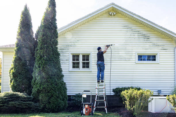 Best Roof Washing  in Indianola, MS